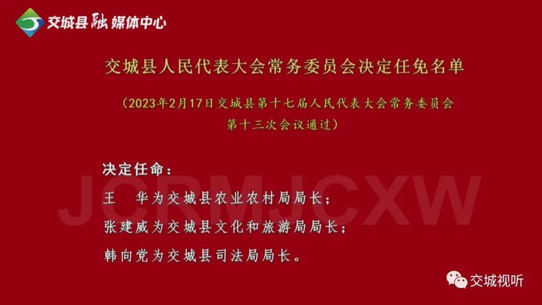 交界镇人事任命动态深度解析