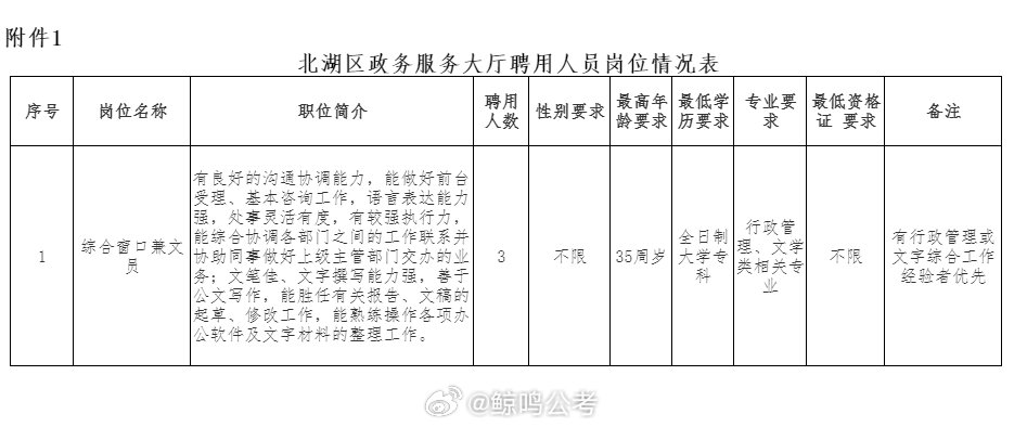 北湖区人民政府办公室最新招聘信息概览