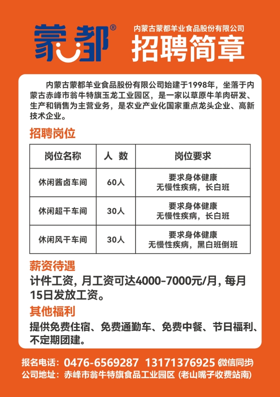 安海镇最新招聘信息概览