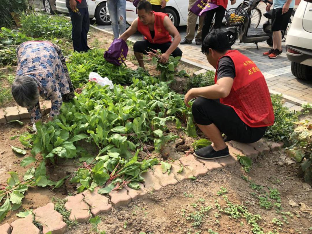 学术中心 第10页