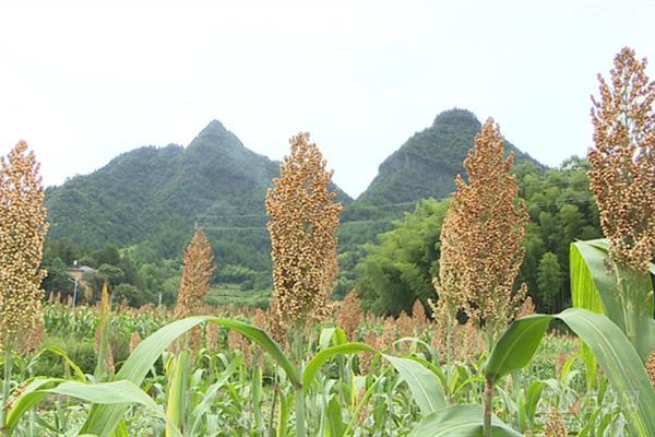 塔山乡交通新动态，交通发展助力乡村振兴