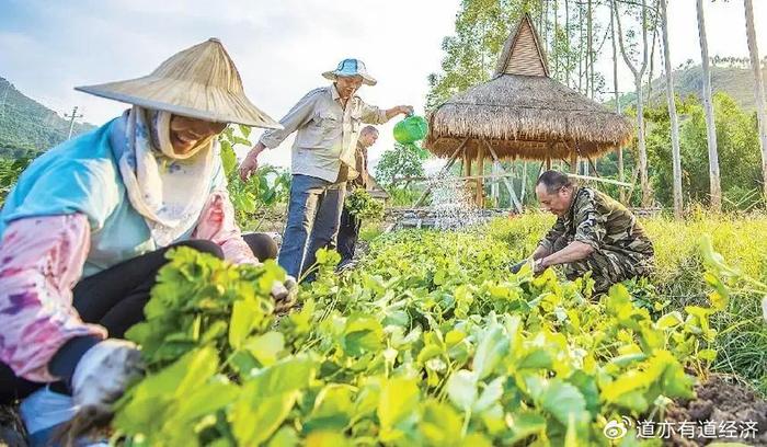 大连华侨果树农场最新领导团队引领农场迈向新征程