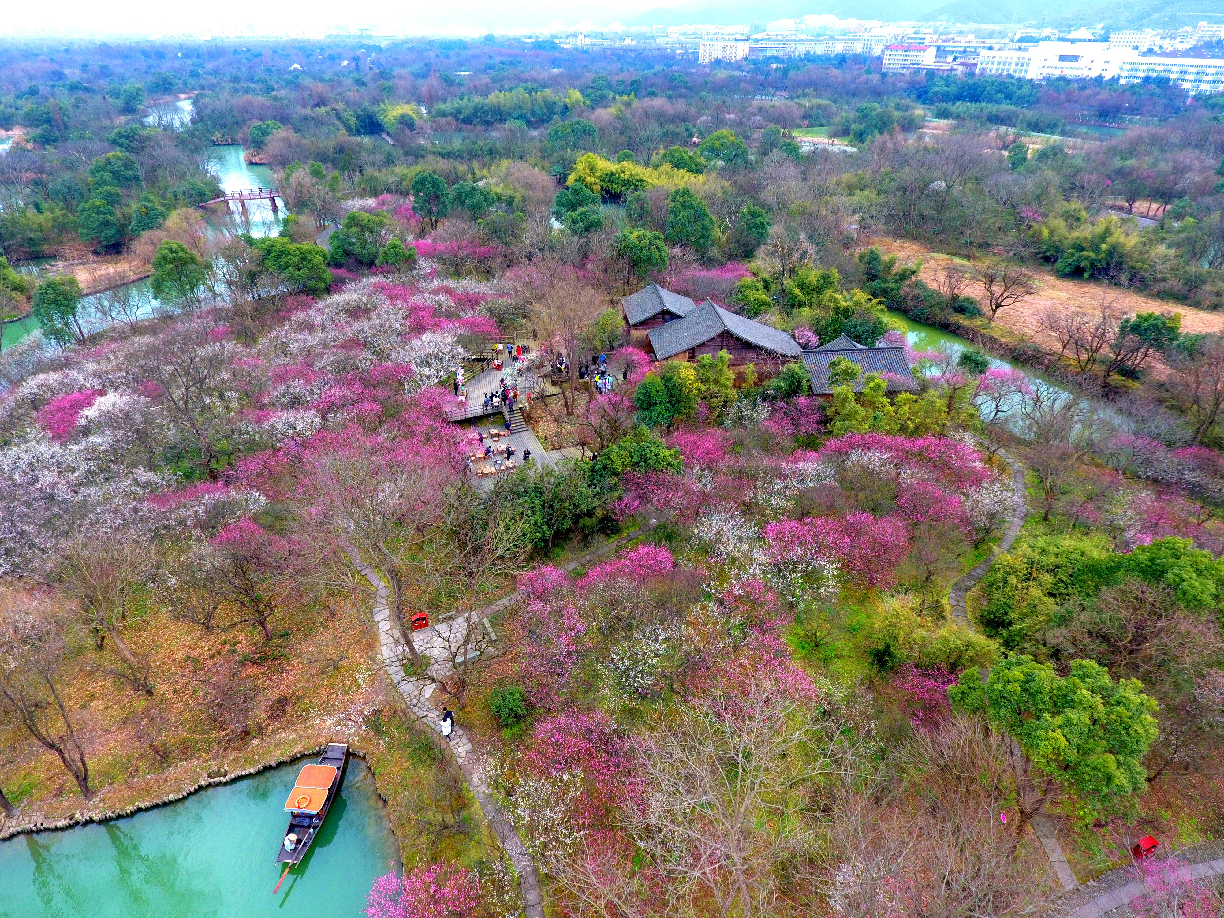 西溪镇未来城市典范发展规划揭秘