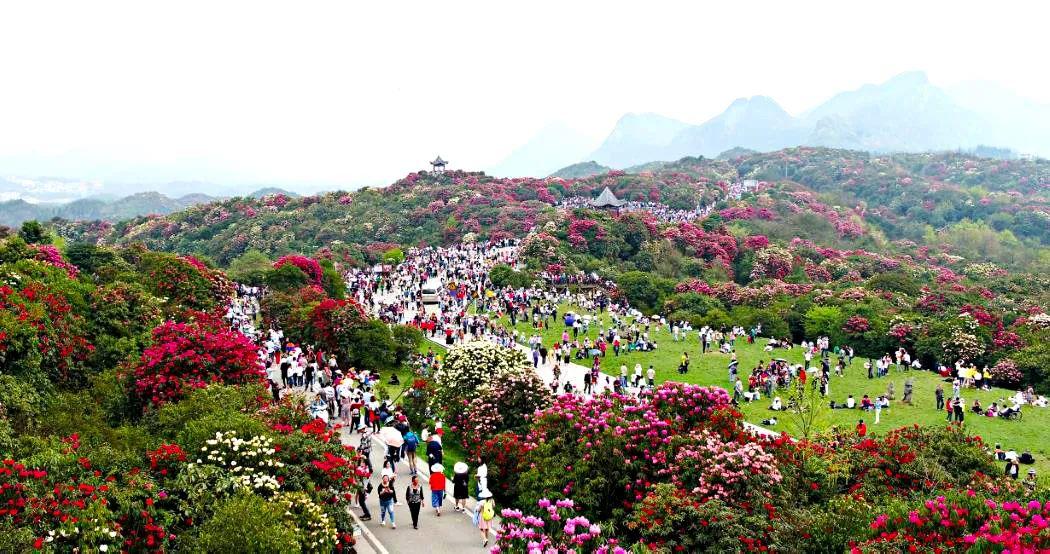 毕节市百里杜鹃景区游玩攻略大全